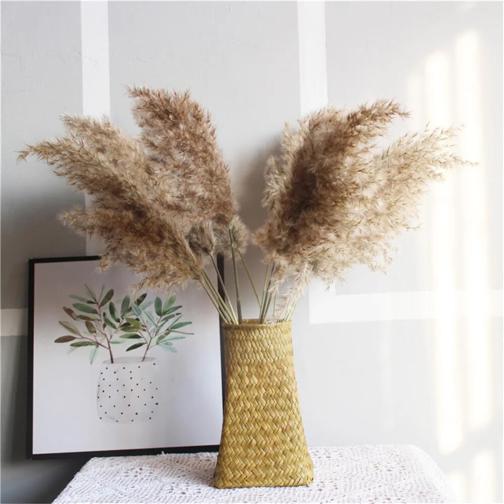 Free Shipping Dried Pampas Grass Decor Wedding Flower Bunch Natural Plants for Home Christmas Decorations Gift Dry Flower