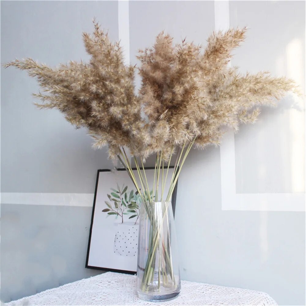 Free Shipping Dried Pampas Grass Decor Wedding Flower Bunch Natural Plants for Home Christmas Decorations Gift Dry Flower