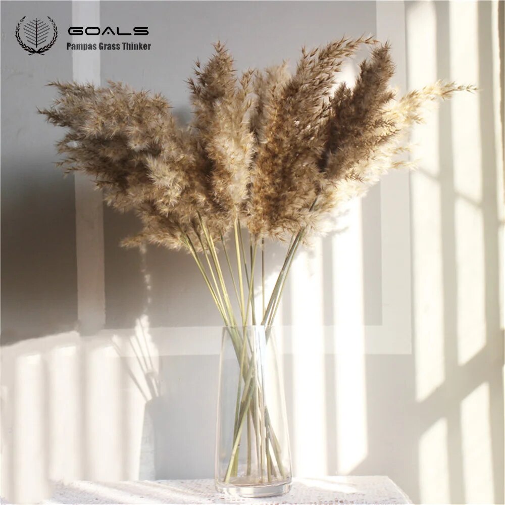 Free Shipping Dried Pampas Grass Decor Wedding Flower Bunch Natural Plants for Home Christmas Decorations Gift Dry Flower