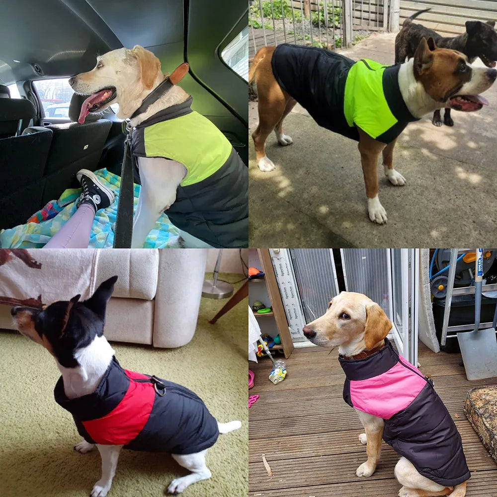 Winter Dog Pets Clothes Clothing for Small Large Dogs Waterproof Pet Jacket Dog Coat Chihuahua Padded Vest Zipper Jacket Coat