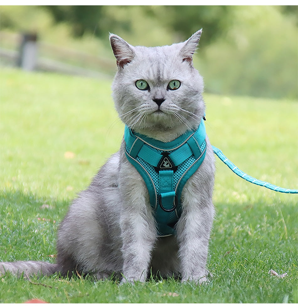 Luminous Pet Leash Adjustable Puppy Harness Dog Vest Collar Dogs Traction Rope With Safety Reflective Strip Dog Accessories