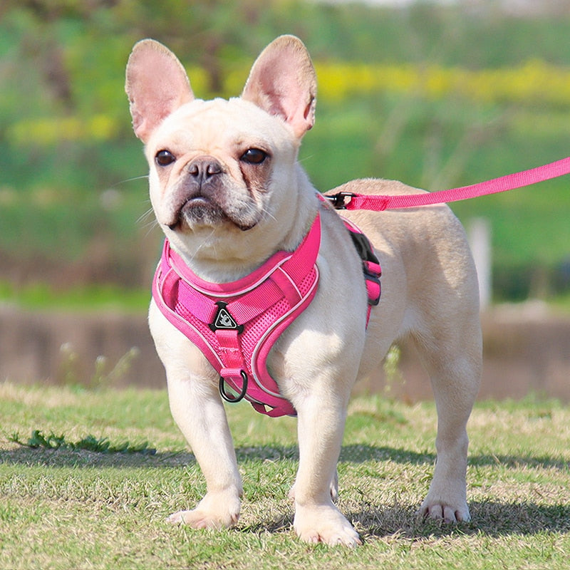 Luminous Pet Leash Adjustable Puppy Harness Dog Vest Collar Dogs Traction Rope With Safety Reflective Strip Dog Accessories