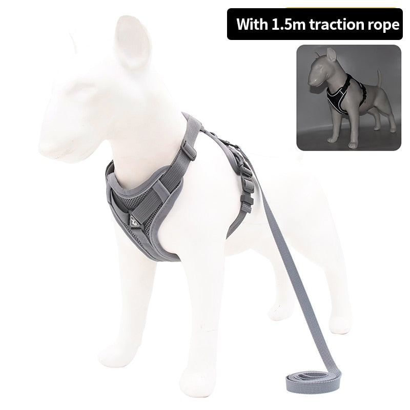 Luminous Pet Leash Adjustable Puppy Harness Dog Vest Collar Dogs Traction Rope With Safety Reflective Strip Dog Accessories